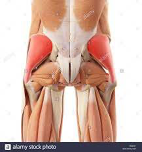 tendinitis del gluteo medio